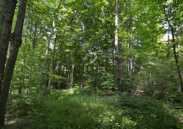 Property For Sale In Claridon Township Property For Sale In Claridon Township