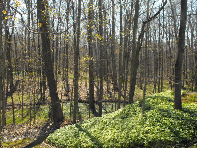  Auburn Road Munson, Ohio