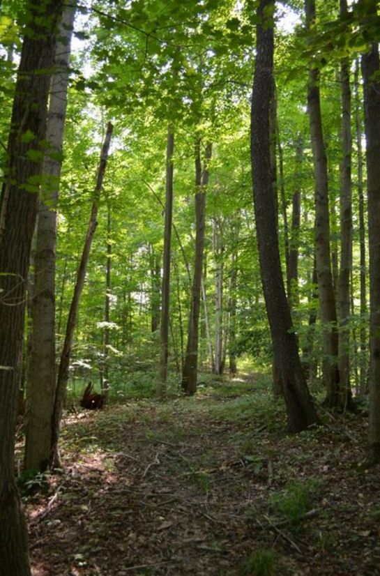 Chardon Land for Sale, Geauga County, J.S. English Co.