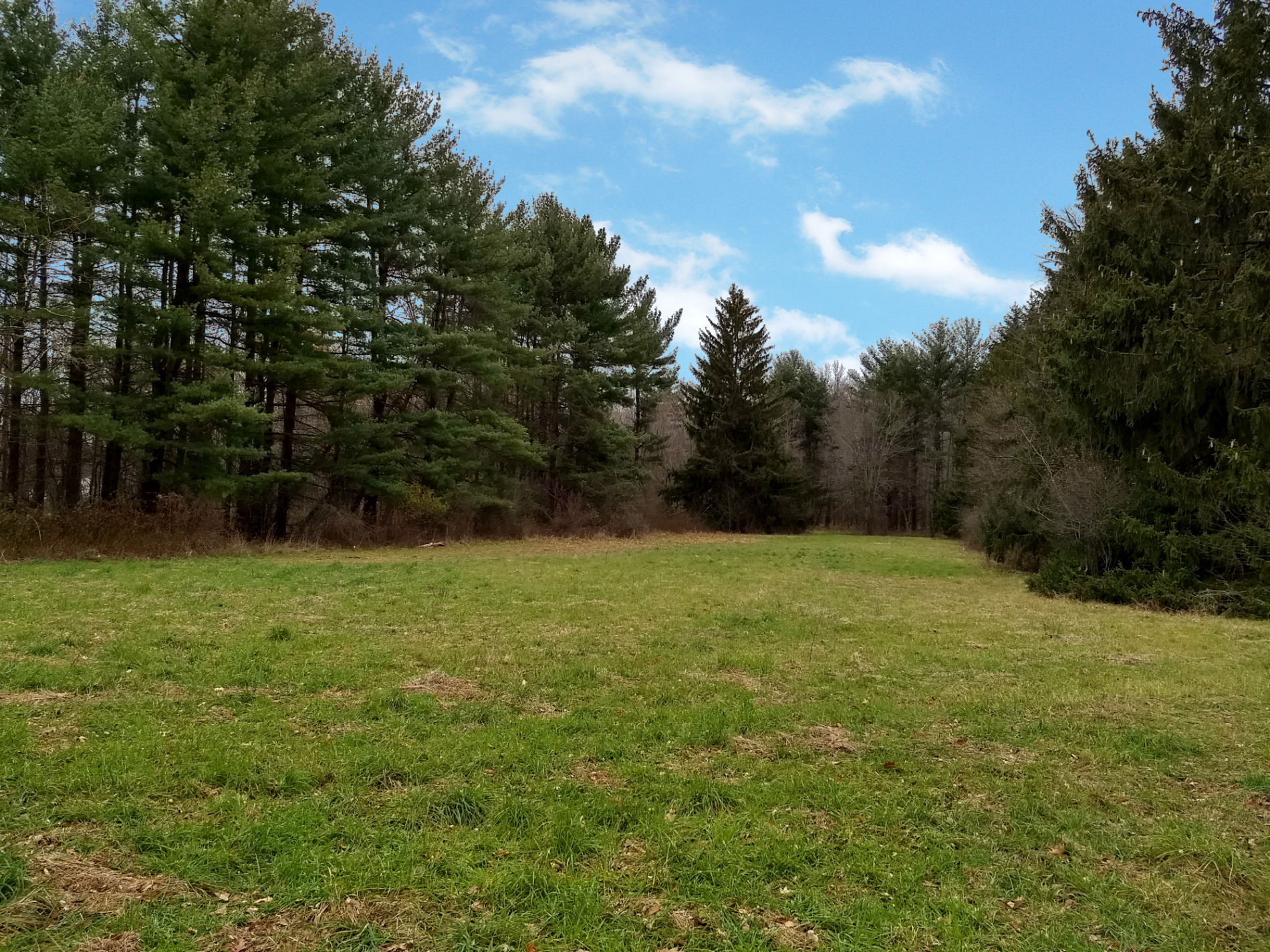 Pines JS English Company