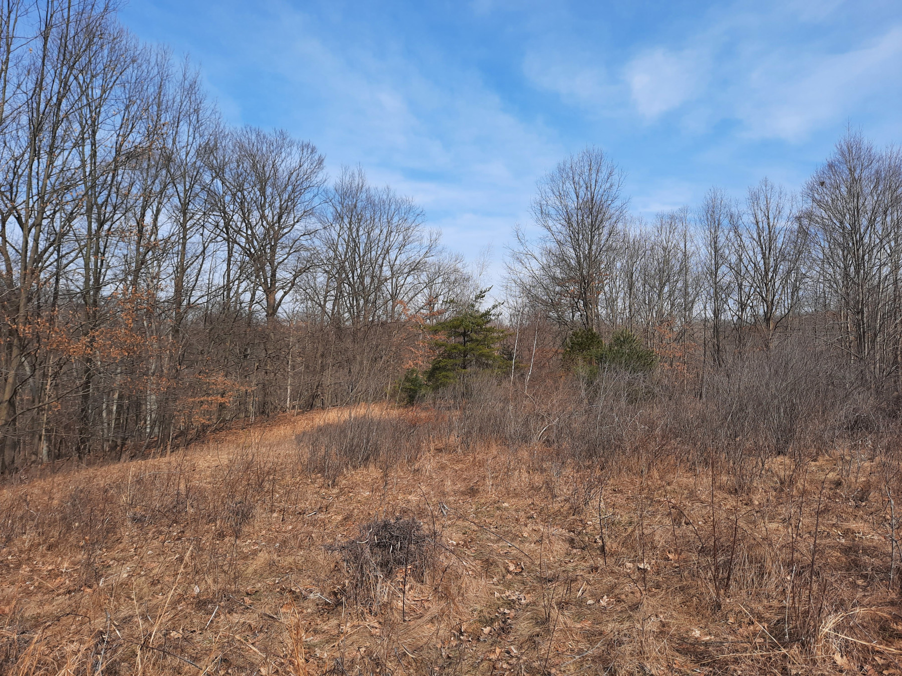 18919 Sagamore Road Walton Hills, Ohio