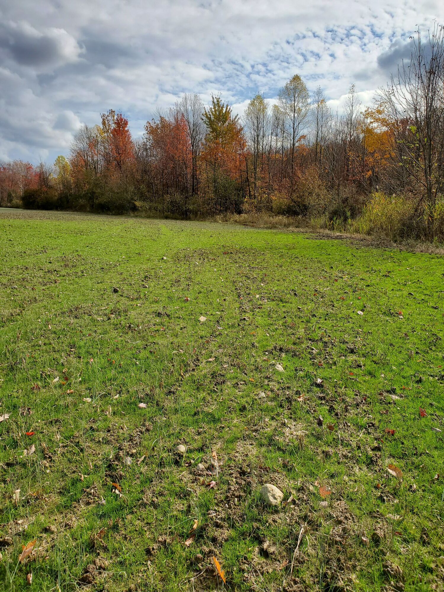 12882 Huntoon Rd Painesville, Ohio